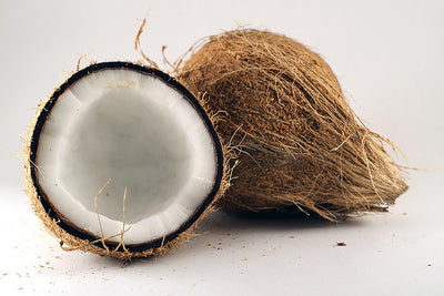 Coconut Oil for Dogs - The Expert's Guide